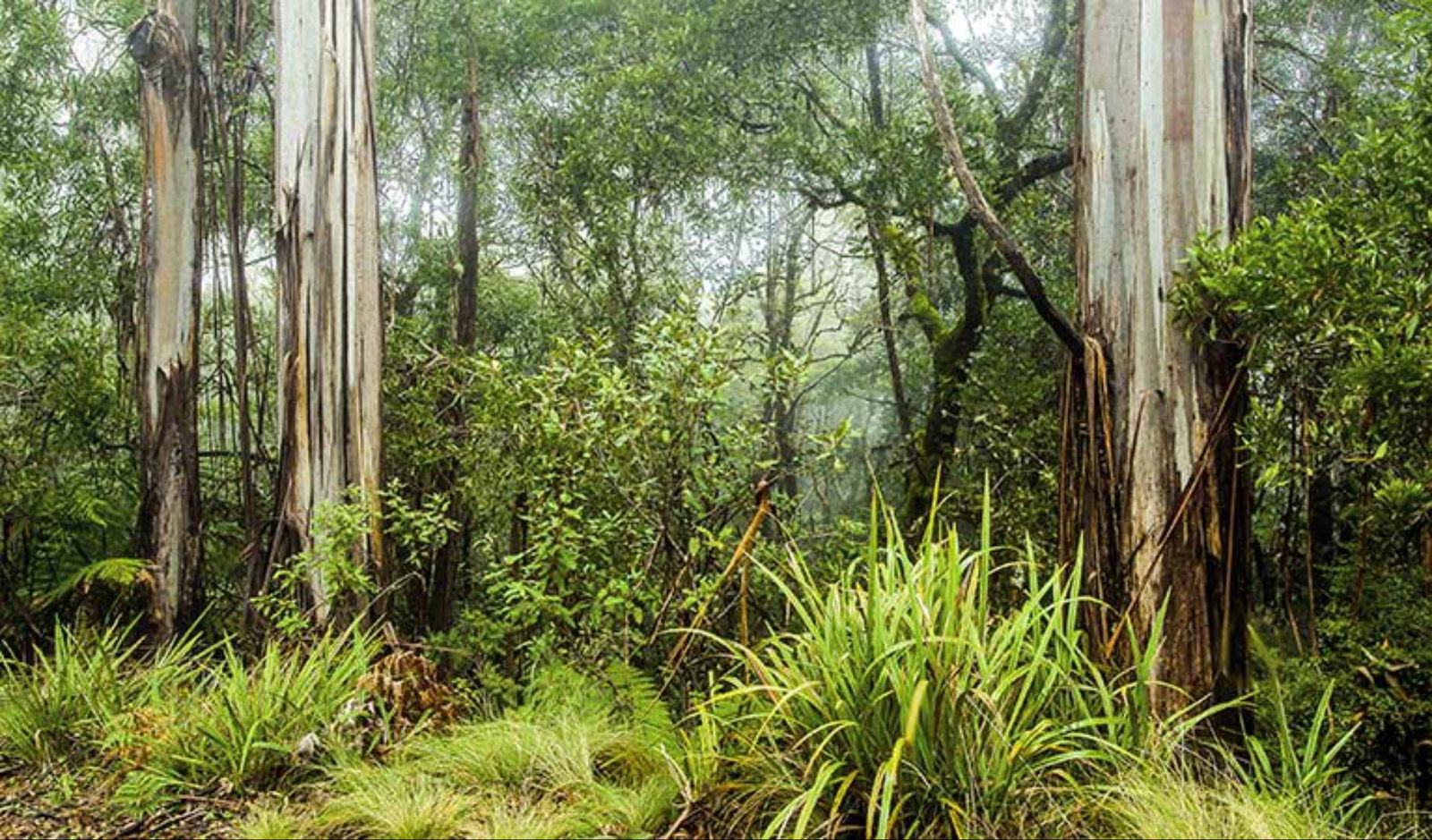 Barkers Vale NSW Hobart Tourism