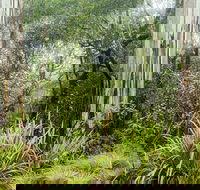 Rosewood loop - Hobart Tourism