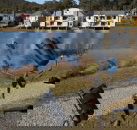 Sculpture Trail at Lake Crackenback Resort and Spa - Hobart Tourism