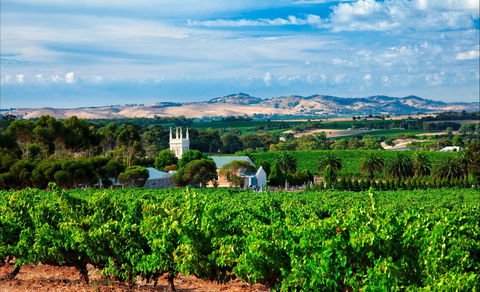 Seppeltsfield Road Barossa Valley - Hobart Tourism 1
