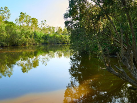 Shapcott Park - Tourism TAS 1