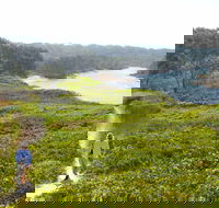 Station Creek - Hobart Tourism
