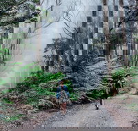 The Corn Trail Walking Track - Tourism TAS