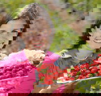 The Super Strawberry - Tourism TAS