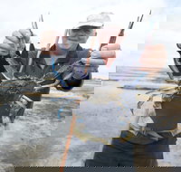 Tiddy Widdy Beach - Tourism TAS