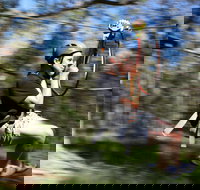 TreeTops Western Sydney - Hobart Tourism