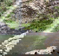 Twin Falls Circuit Springbrook National Park - Hobart Tourism