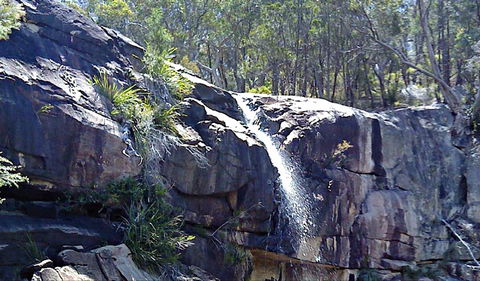 Ugly Corner Falls Walking Track - Tourism TAS 0