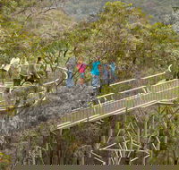 Walpole Wilderness Discovery Centre - Hobart Tourism