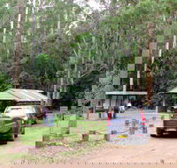 Wallingat Forest Drive - Tourism TAS