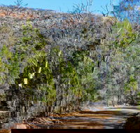 Weddin Gap to Black Spring Loop Trail - Tourism TAS