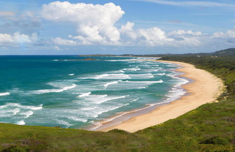 Woolgoolga Beach And Headland - Tourism TAS 0