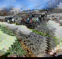 Wynlen House Tour a Unique Urban Regenerative Farm and Market Garden - Tourism TAS