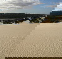 Yeagerup Sand Dunes - Tourism TAS