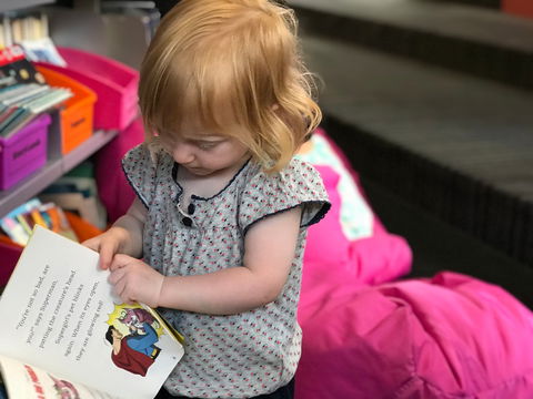 Albury Library Museum - Hobart Tourism 2