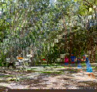 Ballina Disc Golf - Tourism TAS