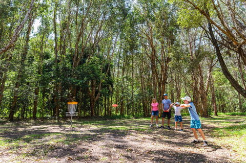 Ballina Disc Golf - Hobart Tourism 0