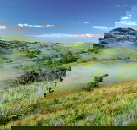 Bega - Hobart Tourism