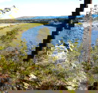 Bens Walk - Hobart Tourism