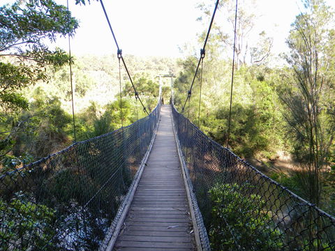 Bens Walk - Hobart Tourism 1