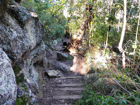 Bens Walk - Hobart Tourism 2