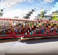 Bendigo Tramways Vintage Talking Tram - Tourism TAS
