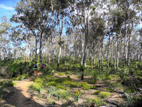 Bibbulmun Track - Hobart Tourism 1