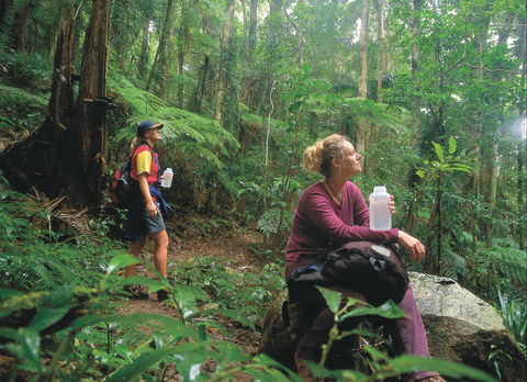 Binna Burra, Lamington National Park - Hobart Tourism 0