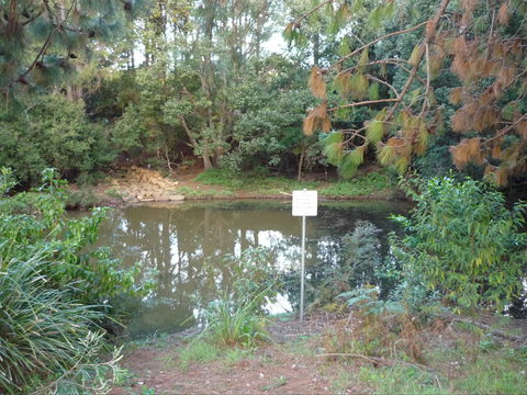Birdwing Butterfly Walk - Hobart Tourism 0