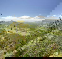 Border Ranges National Park - Hobart Tourism