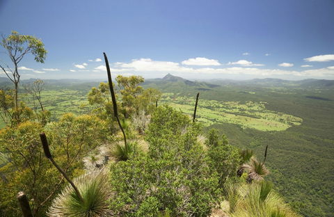Border Ranges National Park - Hobart Tourism 0