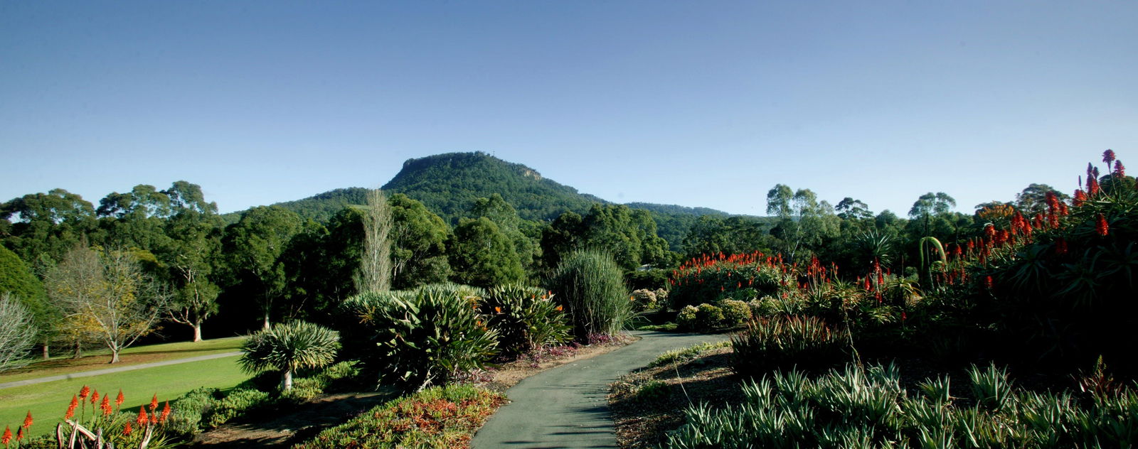 Keiraville NSW Tourism TAS