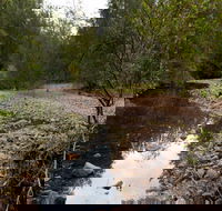 Budawang National Park - Hobart Tourism
