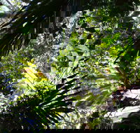 Byrrill Creek Walking Track - Hobart Tourism