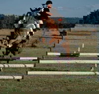 Camden Bicentennial Equestrian Park - Tourism TAS