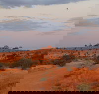 Castle Rock walk and Lookout - Tourism TAS