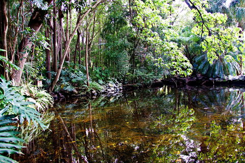 Cascade Gardens - Tourism TAS 2