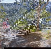 Caves circuit Lamington National Park - Tourism TAS