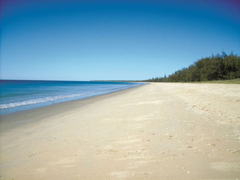 Coral Coast Pathways (Woodgate Beach Section) - Hobart Tourism 0