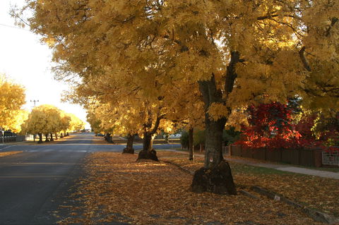Crookwell - Hobart Tourism 1