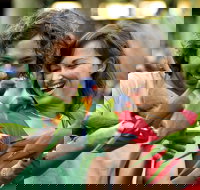 Currumbin Wildlife Sanctuary - Tourism TAS