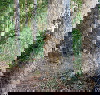 Delta Track - Tourism TAS