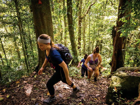 Devils Thumb (Manjal Jimalji) Trail - Hobart Tourism 0