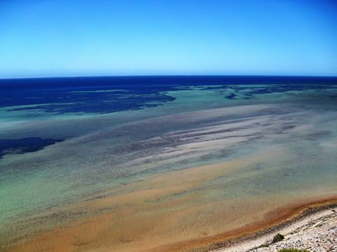 Eagle Bluff - Tourism TAS 2