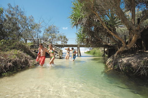 Eli Creek - Tourism TAS 1