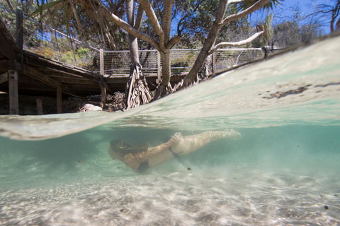 Eli Creek - Tourism TAS 2