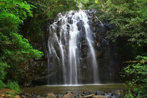 Ellinjaa Falls - Tourism TAS 0