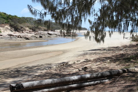 Eurimbula National Park - Tourism TAS 2