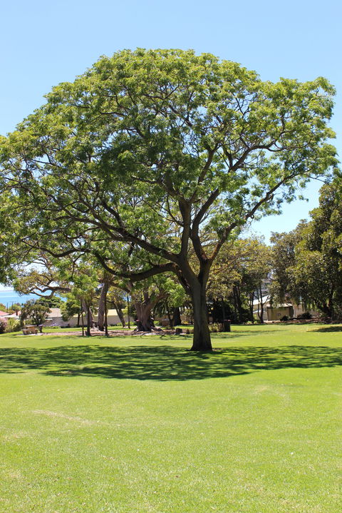 Flinders Park Playground - Hobart Tourism 0