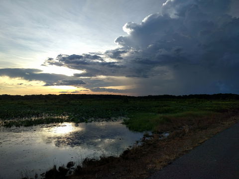Fogg Dam Conservation Reserve - Tourism TAS 2